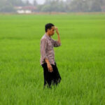 Jokowi Ingin Buka Sawah Besar-besaran di Kalimantan, DPR Tanya Dari Mana Anggarannya?. Nambah NGUTANG LAGI YO?
