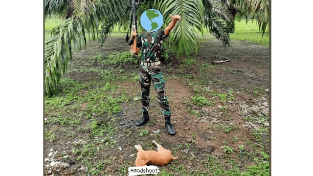 Viral Oknum TNI Bantai Anjing, ADI: Laporkan Polisi Militer