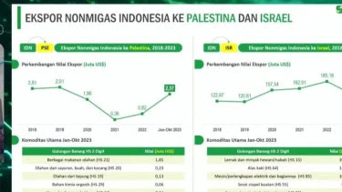 Tidak Disangka-sangka, Data BPS: Ekspor Indonesia ke Israel Lebih Besar dari Ekspor Ke Palestina, Ini Hitungannya